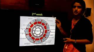 THE PLACENTAHUMAN EMBRYOLOGYDR ROSE JOSE MD [upl. by Asiel]