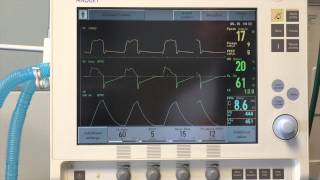 Pulmonary Ventilation System Respiratory [upl. by Adehsor568]