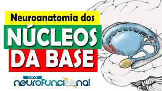 NÚCLEOS DA BASE Neuroanatomia Funcional Aula Completa [upl. by Stanzel]