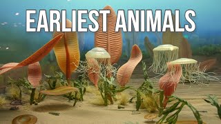 Precambrian Creatures The First Animals [upl. by Columbus162]