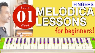 Melodica Lessons for Beginners 01 Fingers [upl. by Dominica]