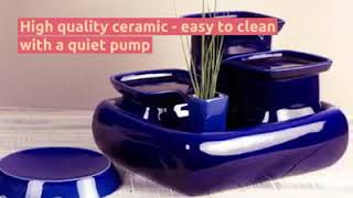 The New Miaustore Ceramic Cat Fountain [upl. by Ynatsed]