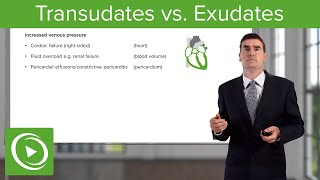 Transudates vs Exudates – Pleural Disease  Lecturio [upl. by Fabi]