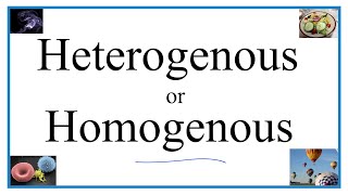 Heterogenous vs Homogenous Definitions Examples amp Practice [upl. by Ijic]