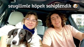 KÖPEK SAHİPLENDİK [upl. by Neffets284]