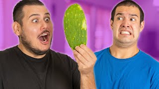 NOPALES  Mexican Survival Guide [upl. by Eahsram]