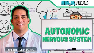 Neurology  Autonomic Nervous System [upl. by Schonfield]