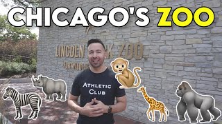 The WILD Animals at Lincoln Park Zoo  Chicago Tour [upl. by Cleodal]