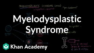 Myelodysplastic syndrome  Hematologic System Diseases  NCLEXRN  Khan Academy [upl. by Ilil]