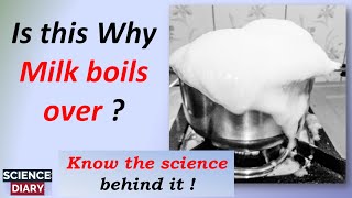 Why does milk spill over while boiling  Why milk boils over I English [upl. by Nair663]