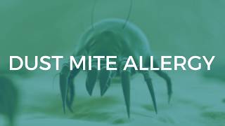 Dust Mite Allergy Symptoms and Treatments [upl. by Base900]