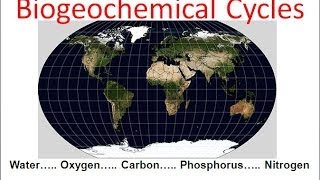 Biogeochemical Cycles honors biology updated [upl. by Daniele]