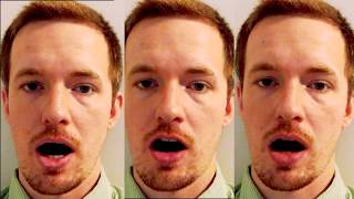 the mcgurk effect and how it works  ok science [upl. by Berkow]