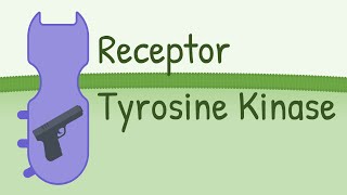 Receptor Tyrosine Kinase  MAPK Pathway [upl. by Jolynn106]