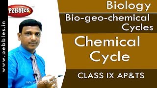 Chemical Cycle  Biogeochemical Cycles  Biology  Class 9  APampTS [upl. by Wengert]