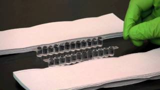 Quantitative ELISA [upl. by Tadeas]