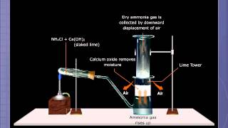 Preparation of Ammonia [upl. by Berriman]