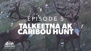 A GIANT CARIBOU  Ep 5  Caribou Hunting in Alaska [upl. by Benkley703]