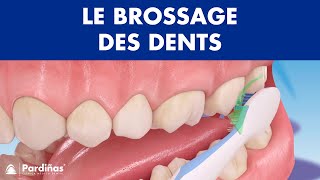 Comment brossage des dents correctement © [upl. by Vedette]