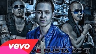 Wisin amp Yandel Ft Prince Royce  quotAlgo Me Gusta De Tiquot Official Remix Video Musicᴴᴰ 2013✔ [upl. by Jamin]