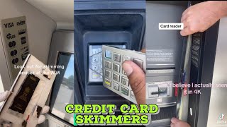 SKIMMERS ARE EVERYWHERE [upl. by Claudell]