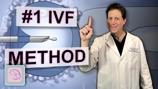 ICSI  Is it your key to IVF success [upl. by Drannel283]