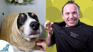 Simple Hacks To Bath Your Dog  Professional Dog Training Tips [upl. by Khan]