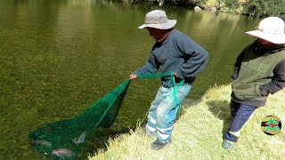 GRAN PESCA DE TRUCHAS EN RIÃ“  Pescando Truchas GRANDES con Atarraya [upl. by Burkhart]