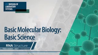 Basic Molecular Biology Basic Science – RNA Structure [upl. by Knipe18]