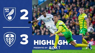 Highlights  Norwich City 23 Leeds United  INCREDIBLE COMEBACK [upl. by Annohsed858]