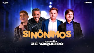 Chitãozinho Xororó Zé Ramalho  Sinônimos  ft YMUSIC VERSÃO ZÉ VAQUEIRO [upl. by Fitz]