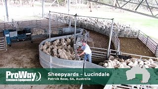 ProWay Sheepyards  Lucindale South Australia [upl. by Lleral444]