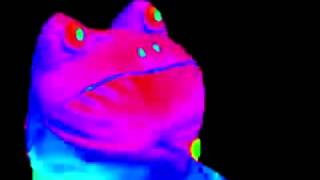 MLG Frog Meme [upl. by Oniliuqnart]