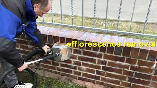 efflorescence removal on brick [upl. by Ainegue]