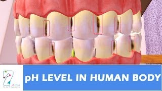 pH Level in human body [upl. by Anitsirk186]