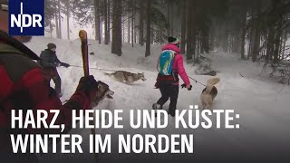 Erlebnis Winterzauber  die nordstory  NDR Doku [upl. by Moya]