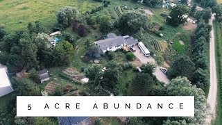 the 5 Acre Permaculture Homestead  Unbelievable Abundance [upl. by Jefferson945]