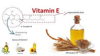 Vitamin E  Source function and deficiency [upl. by Anaderol]