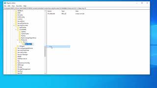 How To Enable TLS 12 on Windows 10 Registry [upl. by Ayerim9]