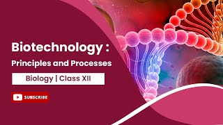 Principles and Processes  Biotechnology and its Principles  Biology  Class 12 [upl. by Acirdna351]