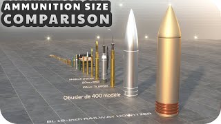 Ammunition Size Comparison 3D [upl. by Idolem614]