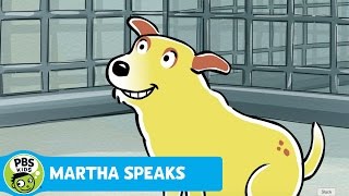 MARTHA SPEAKS  Puppy Martha  PBS KIDS [upl. by Kliman135]