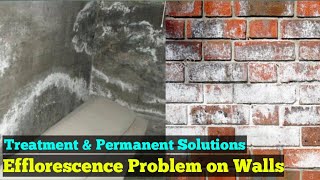 Efflorescence Effect amp Treatment  How to Remove Efflorescence from Brick [upl. by Lasonde]