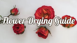 How to Dry Flowers 4 Methods [upl. by Etnoel]