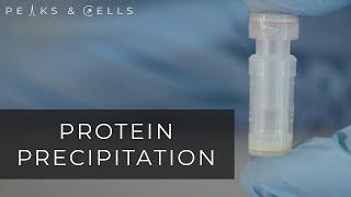 Protein Precipitation UPDATED [upl. by Masson]