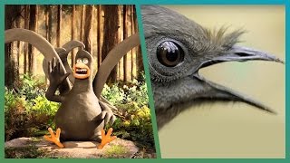 Lyrebird Meets Attenborough ft Aardman Animations Attenborough90  BBC Earth Explore [upl. by Ecirrehs]