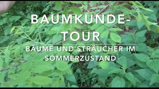 BaumkundeTour 17 Bäume und Sträucher erkennen [upl. by Goldwin]