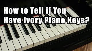 How to Tell if You Have Ivory Piano Keys [upl. by Lesoj]