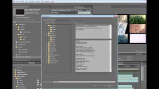 Adobe Creative Suite 5 Production Premium Overview [upl. by Branden]