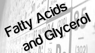 Fatty acids and glycerol [upl. by Donni]